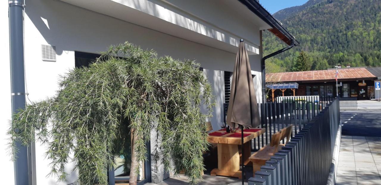 קרנייסקה גורה Vila Mojca Apartments Jasna & Jelka מראה חיצוני תמונה